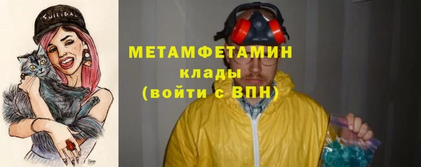 мдпв Вяземский