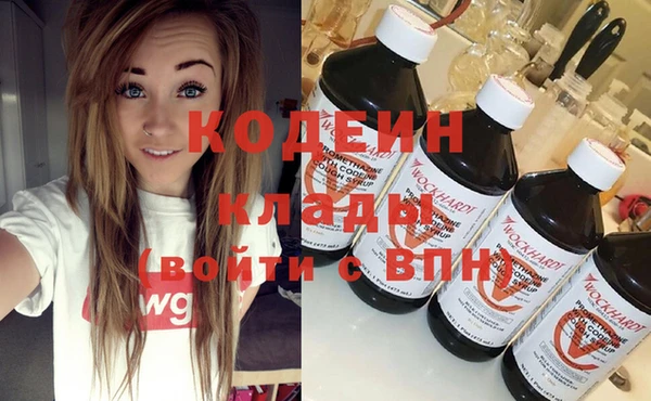 мдпв Вяземский