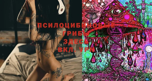 мдпв Вяземский