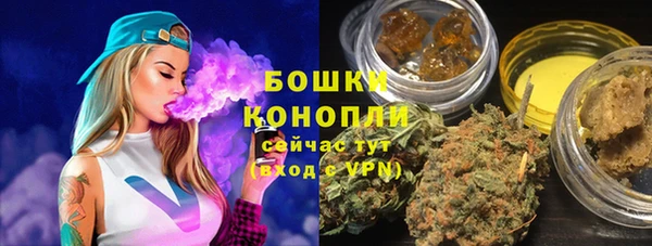 мдпв Вяземский