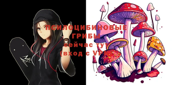 мдпв Вяземский