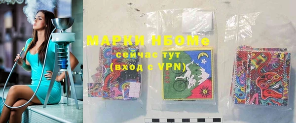 мдпв Вяземский