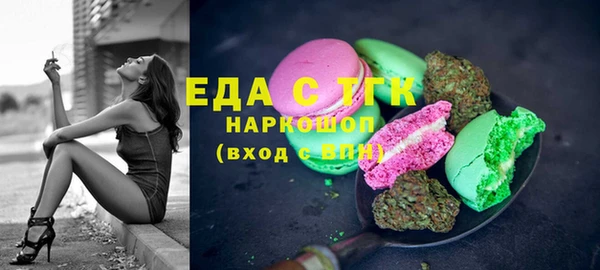 мдпв Вяземский