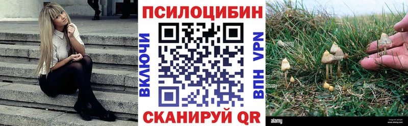 Псилоцибиновые грибы мухоморы  Ижевск 